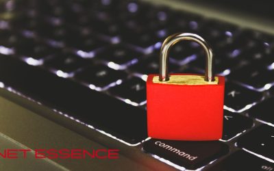 Why Microsoft 365 Needs Extra Protection — And What You Can Do About It